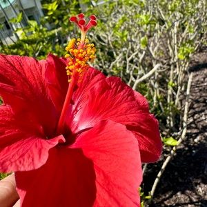 Meet your Posher, Kaylee